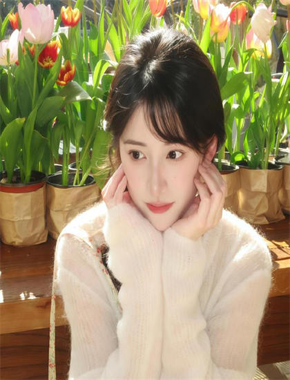 探秘《特种上门女婿》的市场表现与观众反馈